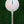 White Straight Tees – 40 x 83mm 3 ¼ inch White Premium Bamboo Golf Tees in a Tin with Free Ball Marker & Free Pencil. Twice the strength of regular bamboo very strong & durable & a Great Golf Gift.